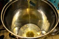 Extra virgin olive oil extraction process in olive oil mill