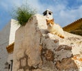 Greece cat Royalty Free Stock Photo