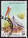 GREECE - CIRCA 1979: A stamp printed in Greece shows a Great White Pelican Pelecanus on