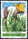 GREECE - CIRCA 1966: A stamp printed in Greece shows a farmer tending tobacco plants, circa 1966.