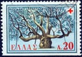GREECE - CIRCA 1959: A stamp printed in Greece from the `Red Cross` issue shows Hippocrates Plane tree, Cos island, circa 1959.
