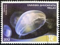 GREECE - CIRCA 2012: A stamp printed in Greece shows a moon jellyfish Aurelia aurita, circa 2012.