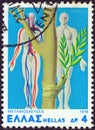 GREECE - CIRCA 1978: A stamp printed in Greece shows a grafted plant and human circulation diagram, circa 1978.