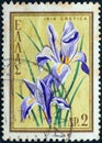 GREECE - CIRCA 1958: A stamp printed in Greece shows Iris cretica, circa 1958.