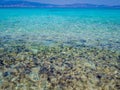 Greece, Crete: Golden Beach in Chrysi island, one of the wildness in the world. Royalty Free Stock Photo