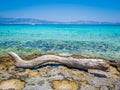 Greece, Crete: Golden Beach in Chrysi island, one of the wildness and gorgeus beach in the world. Royalty Free Stock Photo