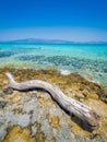 Greece, Crete: Golden Beach in Chrysi island, one of the wildness and gorgeus beach in the world. Royalty Free Stock Photo