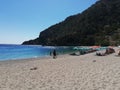 Greece, Kharpathos, Sea, Paradise, Sand, Flower, Plants, details