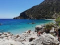 Greece, Kharpathos, Sea, Paradise, Sand, Flower, Plants, details