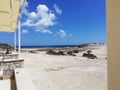 Greece, Kharpathos, Sea, Paradise, Sand, Flower, Plants