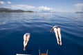 Greece, , Mediterranean Sea. The synchronous jumps in the sea fr Royalty Free Stock Photo