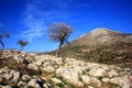 Greece,Mykines,Micene,archeologic site.