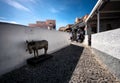 Greece, Santorini - September 2018. Donkey on the street. Streets of the white city of Santorini island Royalty Free Stock Photo