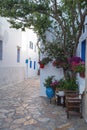 Ano Koufonisi island, Greece. Building, tree, blooming flower in pot, empty street. Vertical