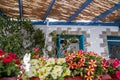 Greece. Pano Koufonisi island, Cyclades. Flower pot, colorful blossom under wooden pergola