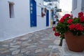 Greece. Pano Koufonisi island, Cyclades. Pink geranium flower in plastic pot blur background