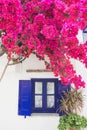 Greece, Paros island, Cyclades, beautiful view of traditional greek house with flowers Royalty Free Stock Photo