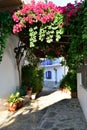 Greece, Skopelos Island, Glossa