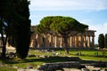 Greece tempel at Paestum in Italy Royalty Free Stock Photo