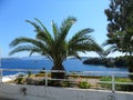 Greece, vacations on island of Skiathos Royalty Free Stock Photo