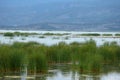 Greece , Volos city , Lake Karla ,environment Royalty Free Stock Photo