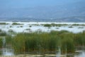 Greece , Volos city , Lake Karla ,environment