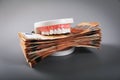 Greediness concept - teeth model eating euro money bills Royalty Free Stock Photo