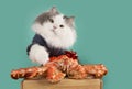 Greedy cat does not want to share the crab Royalty Free Stock Photo