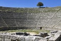 Greek ancient theater of Dodoni at Greece Royalty Free Stock Photo