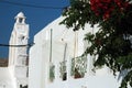 Greek architecture with flowers