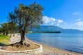 Greek beach on the island of Corfu in the mediterranean