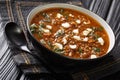 Greek brown lentil soup fakes is a simple and healthy one-pot recipe close-up in a plate. horizontal