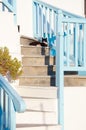 Greek cats - beautiful cats sitting on the stairs at the entrance to the house Royalty Free Stock Photo