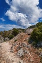 Greek or Cretan landscape, hills with spring foliage, bushes, olive trees, rocky path, mitato. Blue sky with clouds Royalty Free Stock Photo