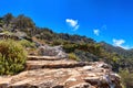 Greek or Cretan view, hill, mountain, spring, bushes, olive trees, rocky path, paved stairs. Clear blue sky, beautiful Royalty Free Stock Photo