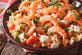Greek cuisine: shrimp Saganaki close-up on a plate. horizontal