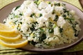 Greek cuisine: spanakorizo rice with spinach and feta cheese close-up. horizontal