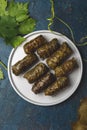 Greek dolmadakia. Rice and meat wrapped in grape leaves. White plate, Blue background