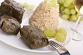 Greek Dolmades with Rice and Grapes Close up Royalty Free Stock Photo