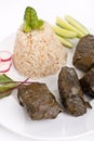 Greek Dolmades with Rice and Vegetables Close up Royalty Free Stock Photo