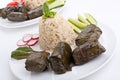 Greek Dolmades with Rice and Vegetables Royalty Free Stock Photo