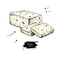 Greek feta cheese block, slice drawing. Vector hand drawn food sketch.