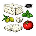 Greek feta cheese block, slice drawing. Vector hand drawn food sketch with olive, basil, tomato.