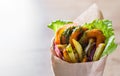 Greek gyros with fried squid rings breaded, tzatziki sauce, vegetables Royalty Free Stock Photo