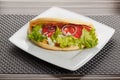 Greek Gyros with Fries and Salad Royalty Free Stock Photo