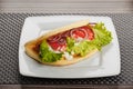 Greek Gyros with Fries and Salad Royalty Free Stock Photo