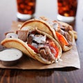 Greek gyros with tzatziki sauce and fries Royalty Free Stock Photo