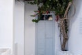 Greek Island, Cyclades. Grey wooden close retro door whitewashed stonewall, red bougainvillea plant