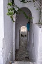 Greek Island, Cyclades. Stair, narrow cobblestone street, arch wall covers alley. Vertical