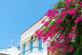 Greek island scene typical white architecture with flowers Greece